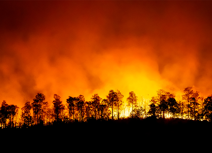 campaña-incendios-medioambiente-tarragona