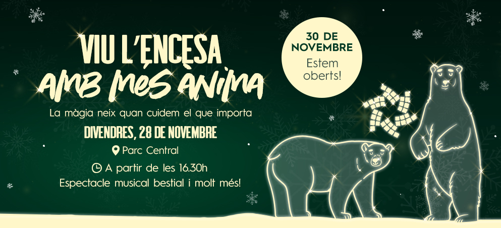 ENCENDIDO DE LUCES – EN