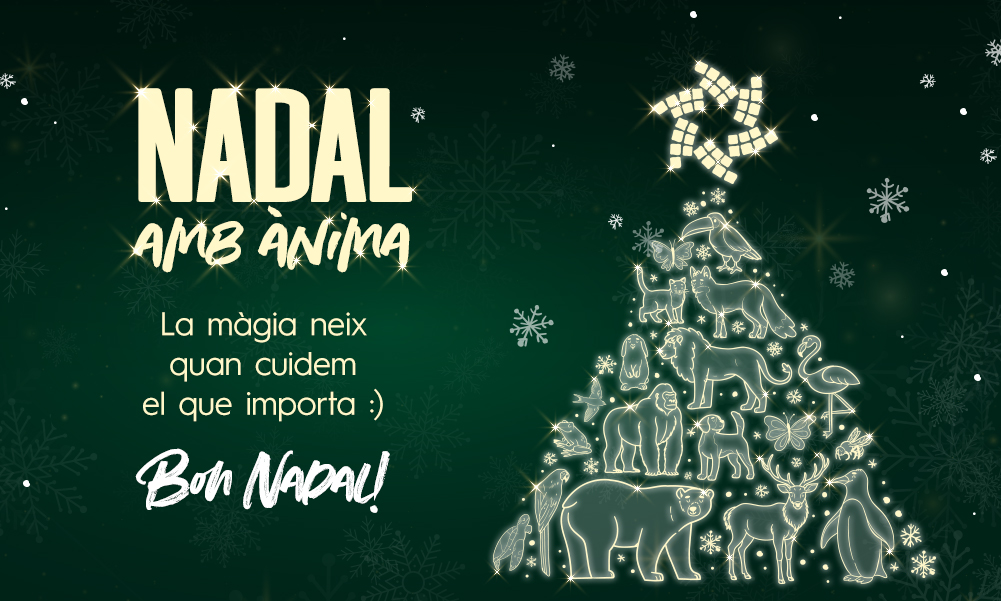 Nadal 2025 a Parc Central: Un Nadal amb Ànima