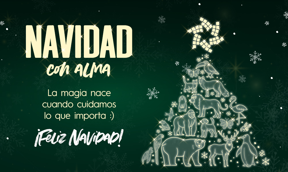 Navidad 2025 en Parc Central: Una Navidad con Alma