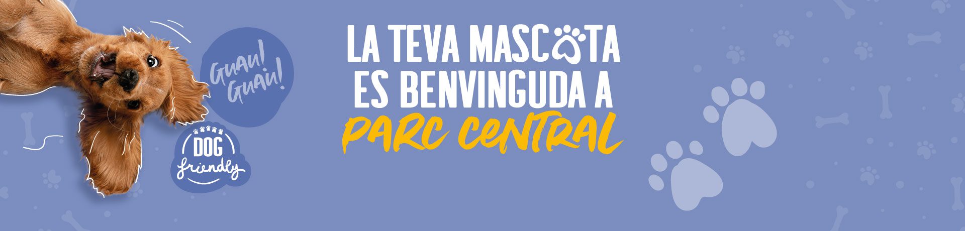 Dog Friendly – Home publicidad – CAT