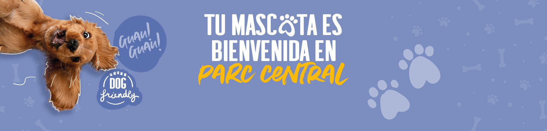 Dog Friendly – Home – ES