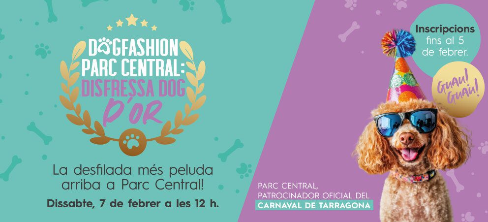 CARNAVAL DOG FRIENDLY – CAT