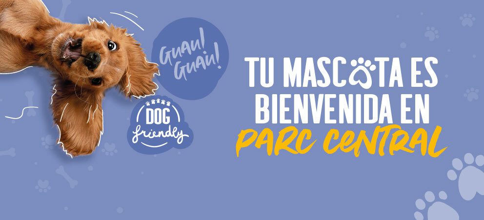 Dog Friendly – Home – ES